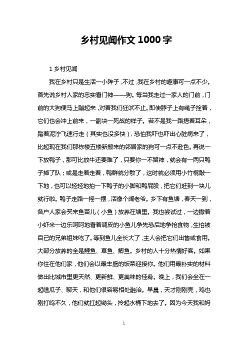 乡村见闻作文1000字
