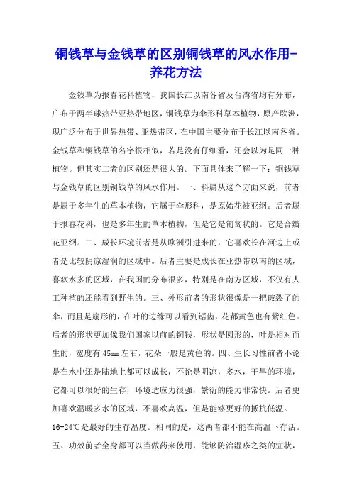 铜钱草与金钱草的区别 铜钱草的风水作用 - 养花方法