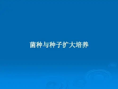 菌种与种子扩大培养PPT教案