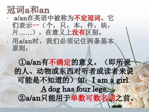 冠词a和an的用法PPT课件