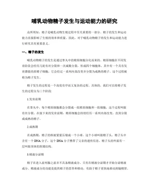 哺乳动物精子发生与运动能力的研究