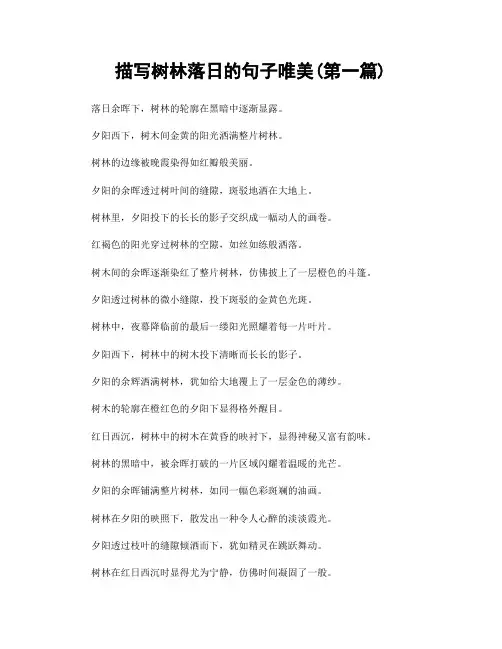 描写树林落日的句子唯美(精选合集两篇)