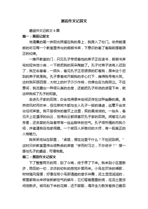 邂逅作文记叙文4篇