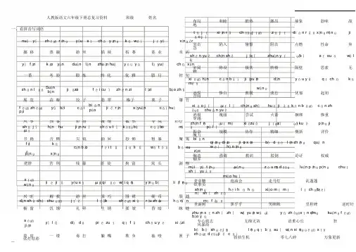 人教版语文六年级下册总复习资料