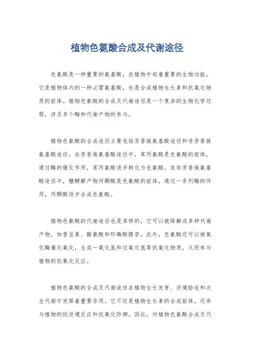 植物色氨酸合成及代谢途径