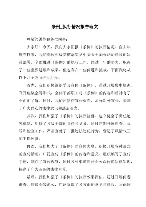 条例_执行情况报告范文