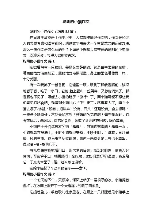 聪明的小猫作文