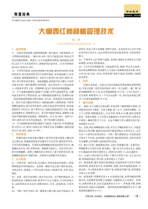 大棚西红柿种植管理技术