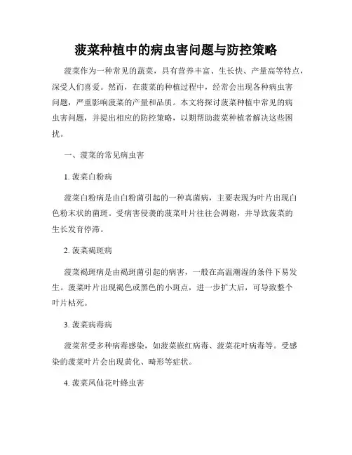 菠菜种植中的病虫害问题与防控策略