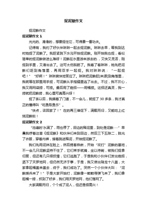捉泥鳅作文