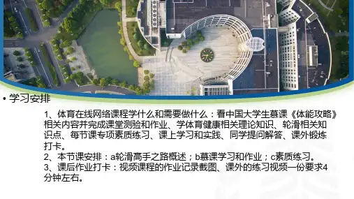 轮滑运动概述