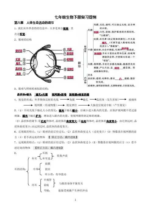 鲁科版初中七下生物提纲