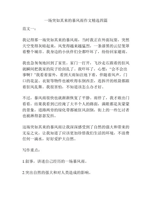 一场突如其来的暴风雨作文精选四篇