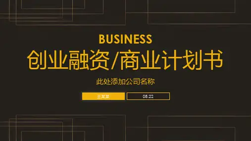 简约大气商业计划书PPT模板 (5)