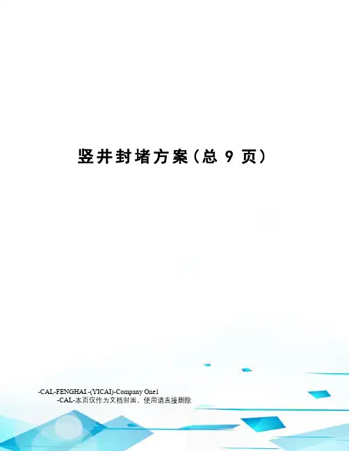竖井封堵方案