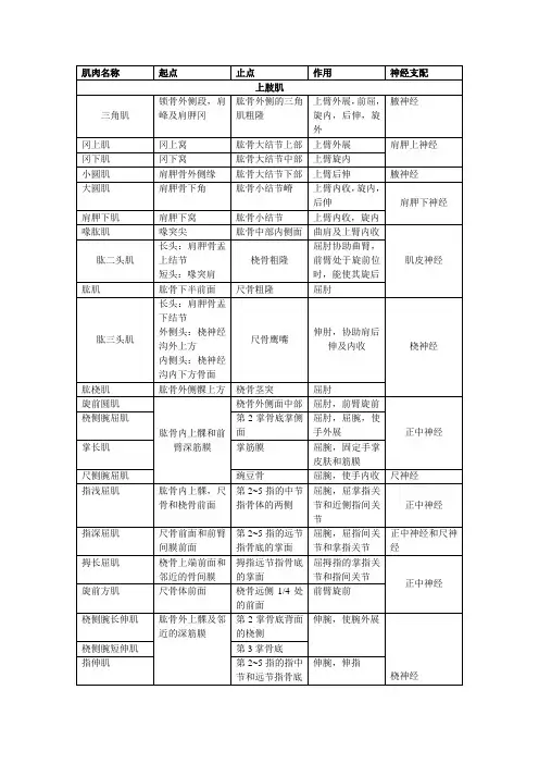 全身主要四肢肌的名称-起止点-作用及神经支配