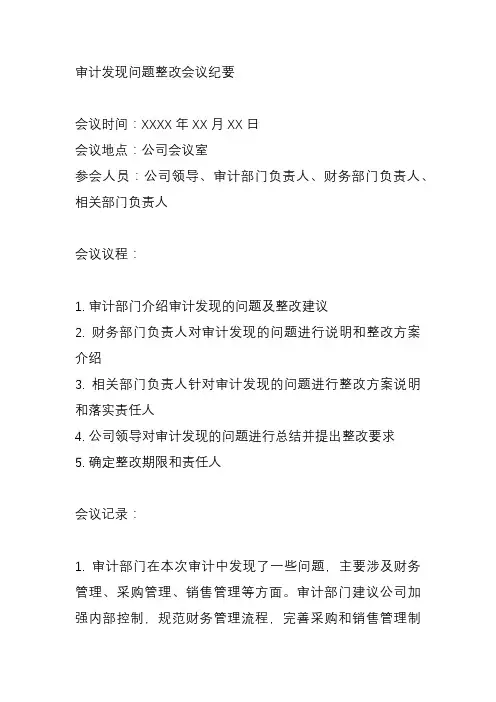 审计发现问题整改会议纪要