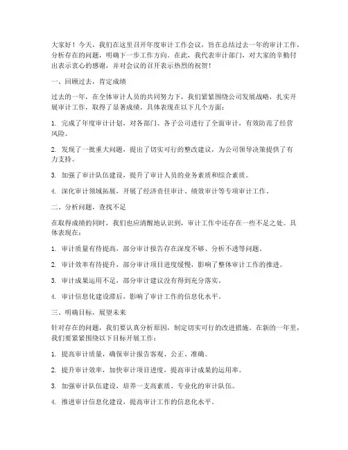 年审会议总结发言稿范文