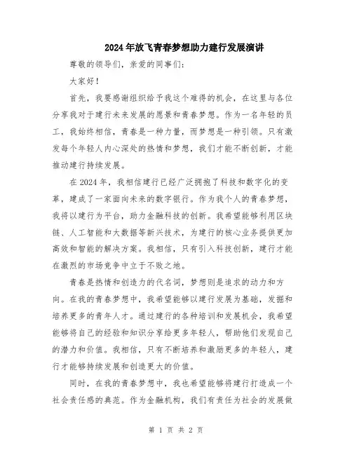 2024年放飞青春梦想助力建行发展演讲