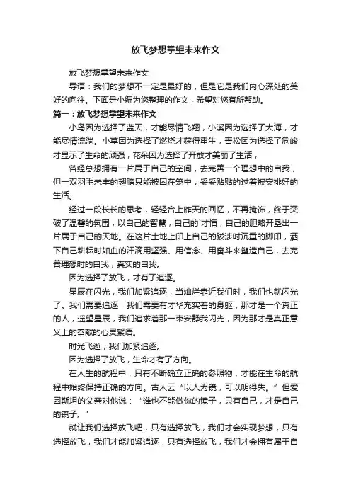 放飞梦想掌望未来作文