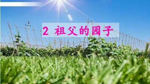 人教部编版《祖父的园子》课件ppt(共27张PPT)