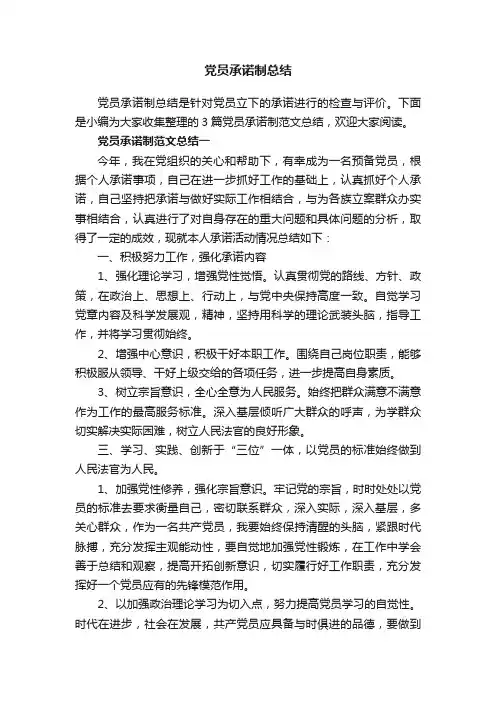 党员承诺制总结
