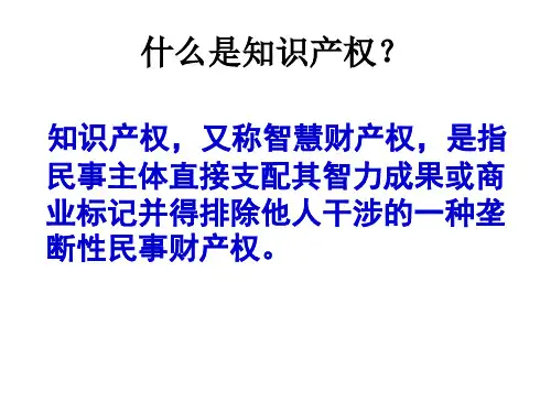 新人教版政治选修5《切实保护知识产权》ppt课件1