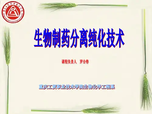 生物制药分离纯化技术