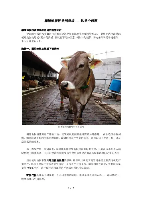 奶牛场粪道采用漏缝地板还是刮粪板的利弊分析