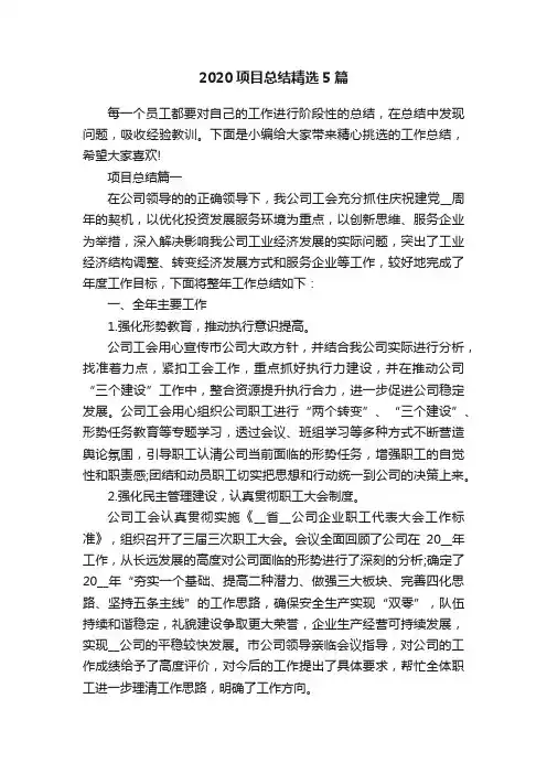 2020项目总结精选5篇