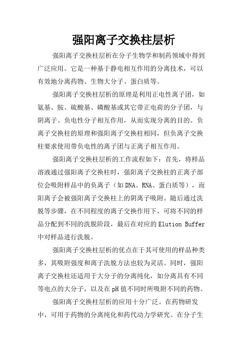 强阳离子交换柱层析