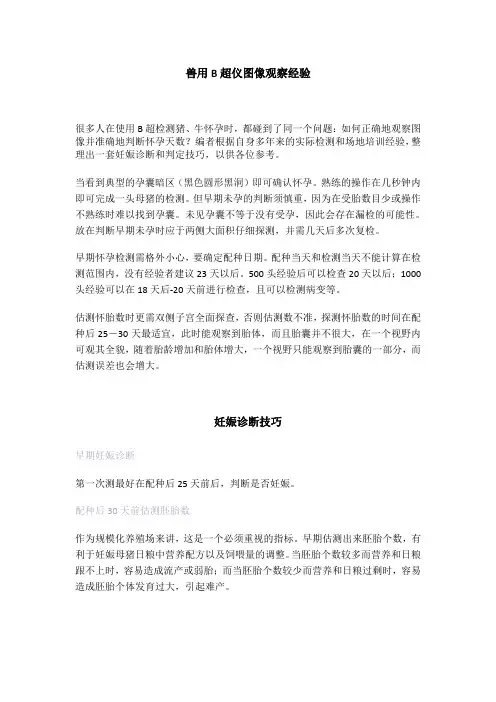 兽用B超图像观察及妊娠判定