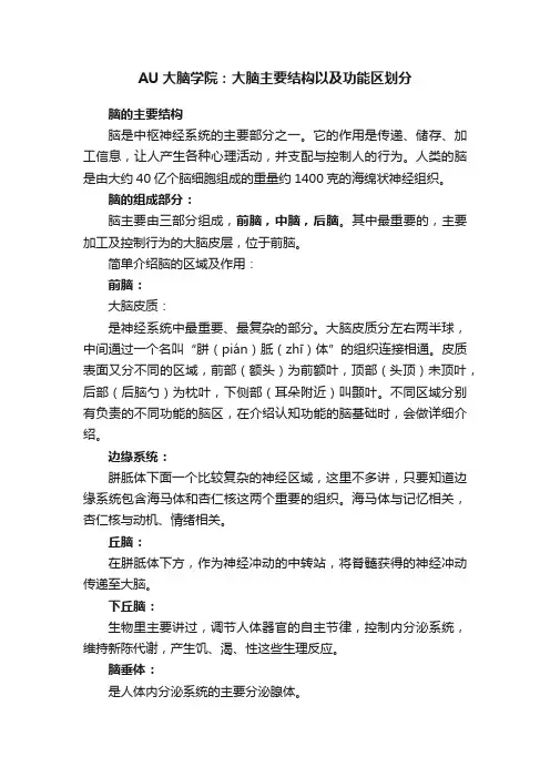 AU大脑学院：大脑主要结构以及功能区划分