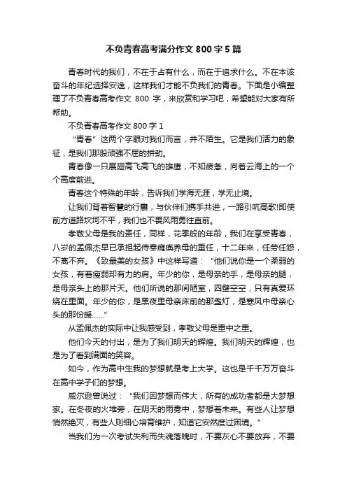不负青春高考满分作文800字5篇