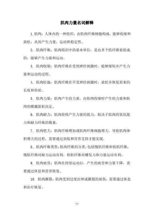 肌肉力量名词解释