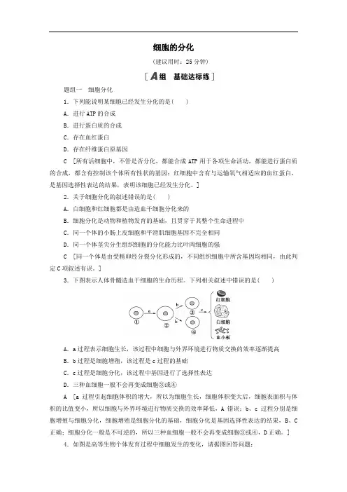 2021年高中生物课时作业23细胞的分化含解析人教版必修1