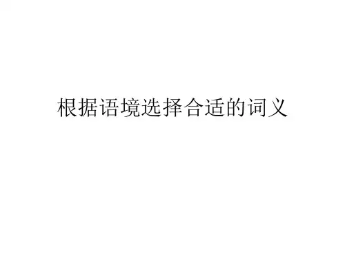 汉英翻译教程--词的选择