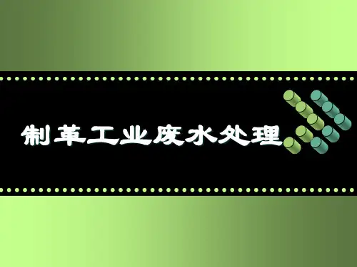 制革工业废水处理