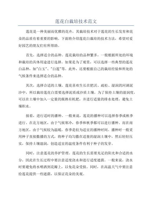 莲花白栽培技术范文
