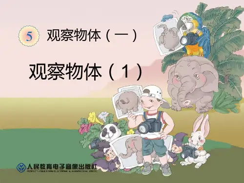 《观察物体》PPT课件