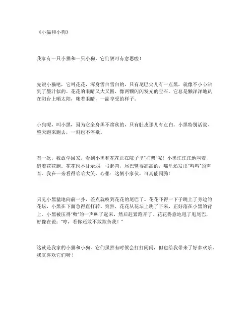 小狗和小猫一年级作文