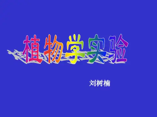 植物学实验-华师