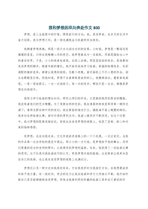 我和梦想的双向奔赴作文800