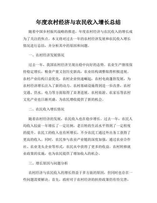 年度农村经济与农民收入增长总结