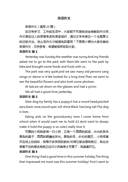 英语作文（通用23篇）
