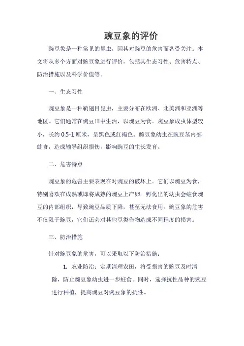 豌豆象的评价