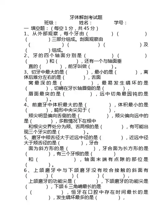牙体解剖考试题
