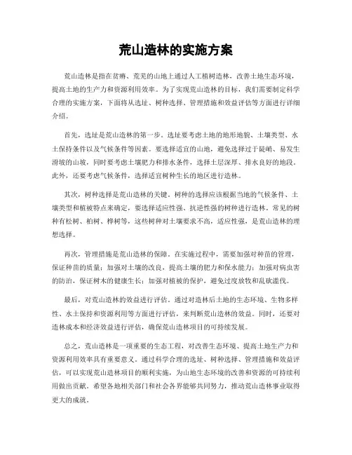 荒山造林的实施方案