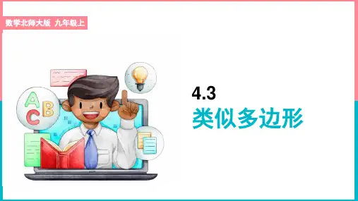 初中数学北师大版九年级上册《相似多边形》课件