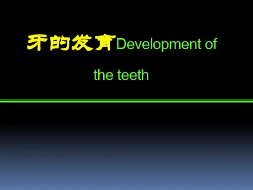 医学教学课件：牙的发育